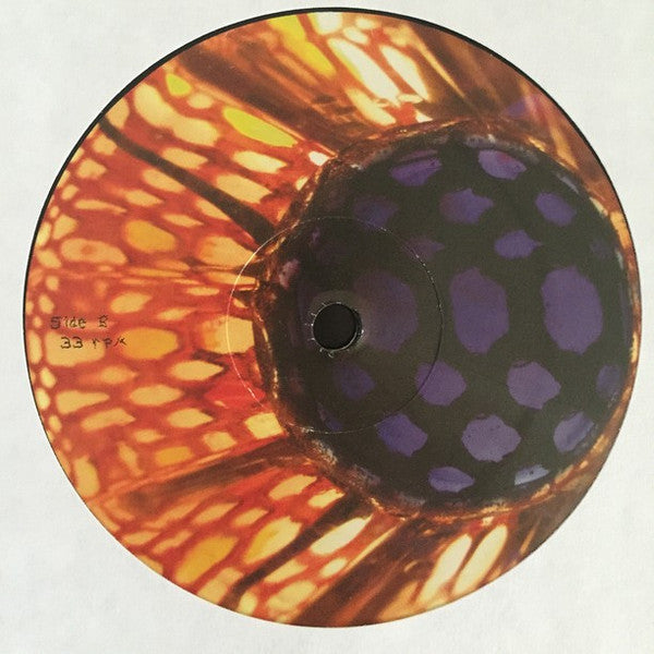 Animal Collective : Peacebone (12", Maxi)