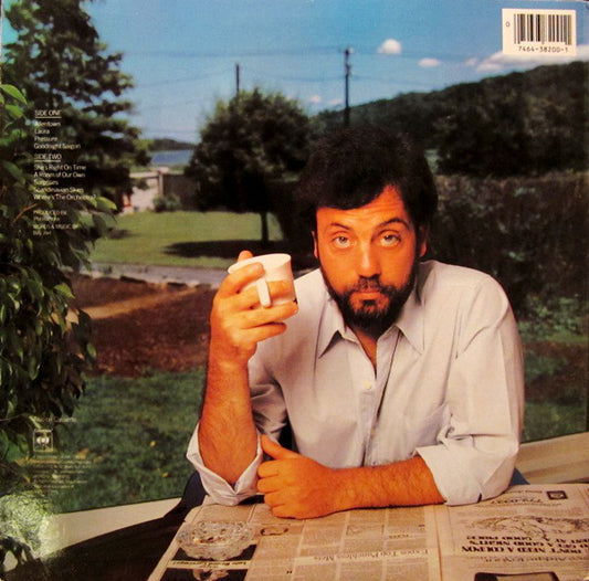 Billy Joel - The Nylon Curtain vinyl record, LP (Near Mint (NM or M-)) | Lulo Records