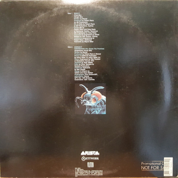 Boxcar : Insect (12")