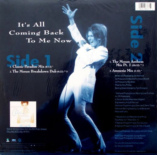Céline Dion : It's All Coming Back To Me Now (12", Single)