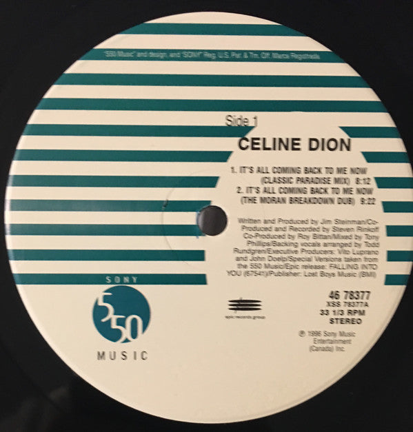 Céline Dion : It's All Coming Back To Me Now (12", Single)