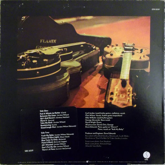 Flamin' Groovies* : Now (LP, Album, Win)