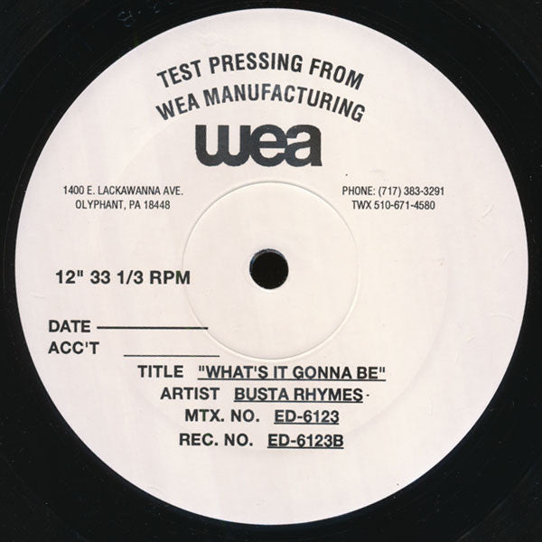 Busta Rhymes : What's It Gonna Be (12", TP)