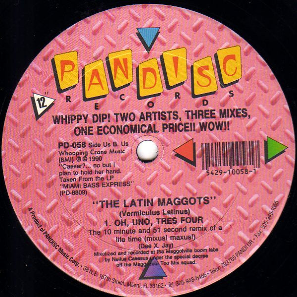DXJ & The Miami Bass Mob / The Latin Maggots : Do You Want To Rock / Uh Uno Tres Four (12")