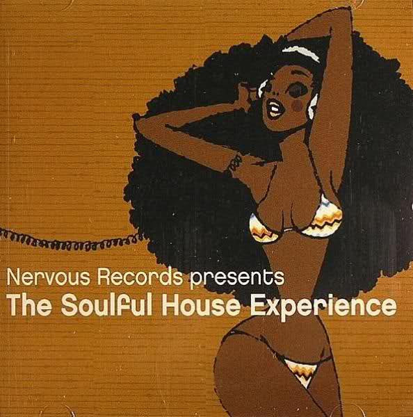 Various : The Soulful House Experience (3x12", Comp)