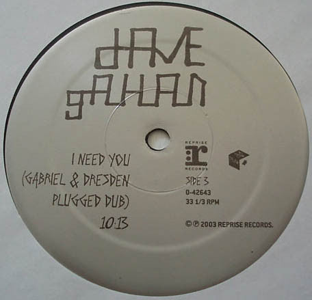 Dave Gahan : I Need You (2x12")