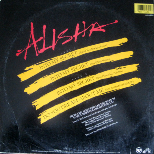 Alisha - Into My Secret (Remix) vinyl record, 12" (Near Mint (NM or M-)) | Lulo Records