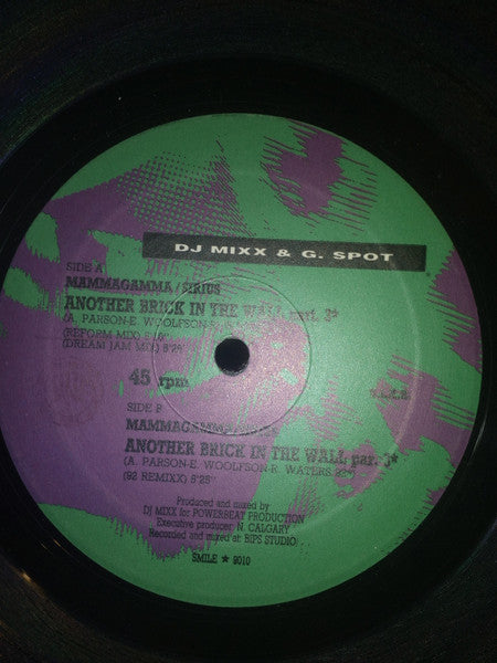 DJ Mixx & G. Spot : Another Brick In The Wall Part. 3 (12")