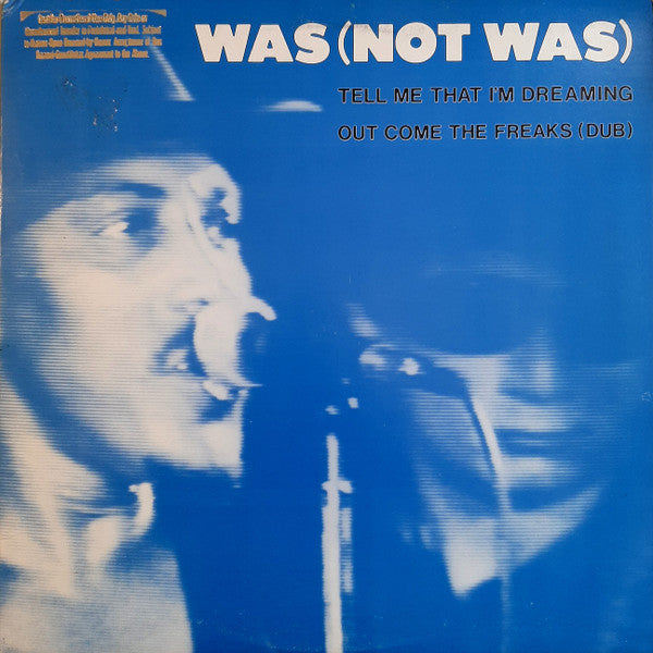 Was (Not Was) : Tell Me That I'm Dreaming / Out Come The Freaks (Dub) (12", Promo, All)