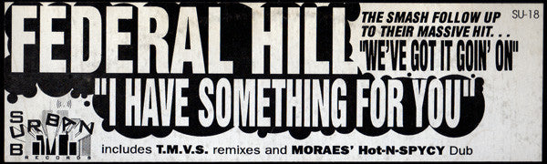 Federal Hill : I Have Something For You (12")