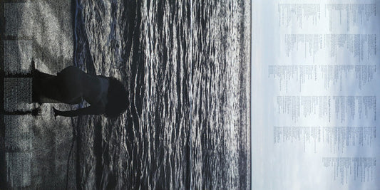 Corinne Bailey Rae : The Sea (LP, Album, RSD, Ltd, RE, 180)