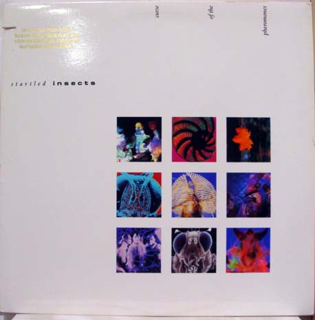 Startled Insects : Curse Of The Pheromones (LP, Album)
