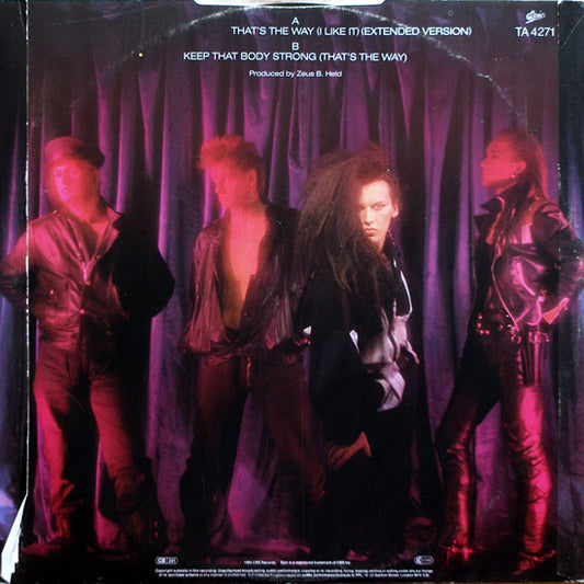 Dead Or Alive - That's The Way (I Like It) (Extended Version) vinyl record, 12" (Very Good Plus (VG+)) | Lulo Records