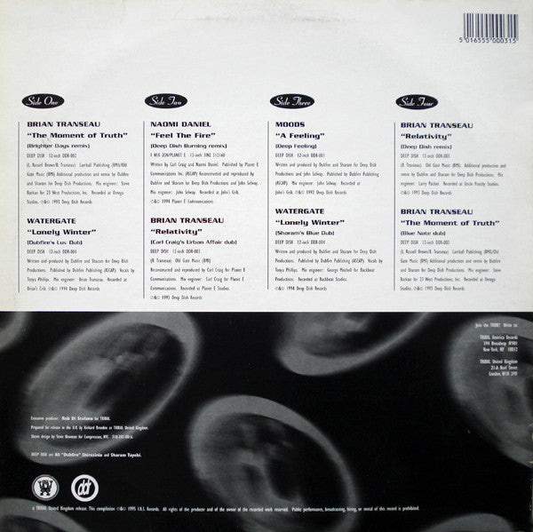 Various : Penetrate Deeper (2x12", Comp)