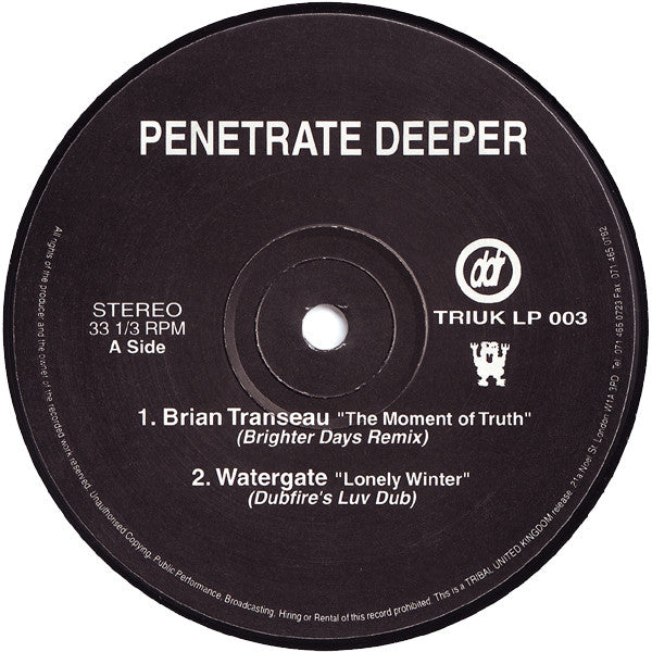 Various : Penetrate Deeper (2x12", Comp)