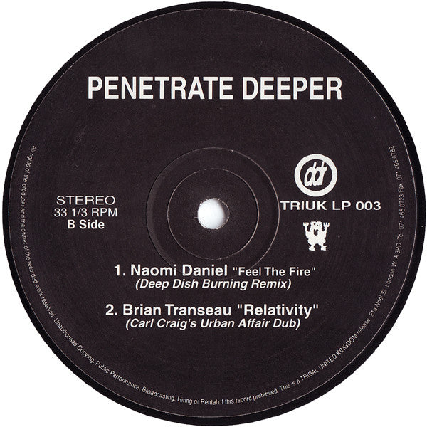 Various : Penetrate Deeper (2x12", Comp)