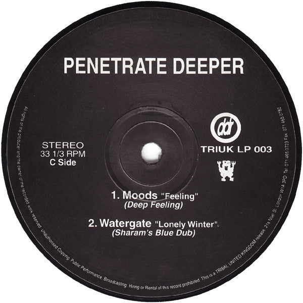 Various : Penetrate Deeper (2x12", Comp)