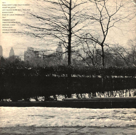 Steely Dan - Pretzel Logic vinyl record, LP (Very Good Plus (VG+)) | Lulo Records
