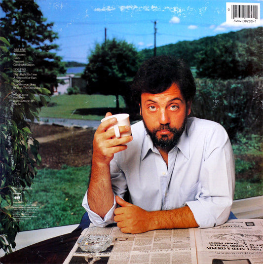 Billy Joel - The Nylon Curtain vinyl record, LP (Near Mint (NM or M-)) | Lulo Records