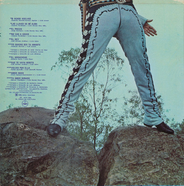 Vicente Fernandez : El Idolo De México (LP, Album, RE, RP, Gat)