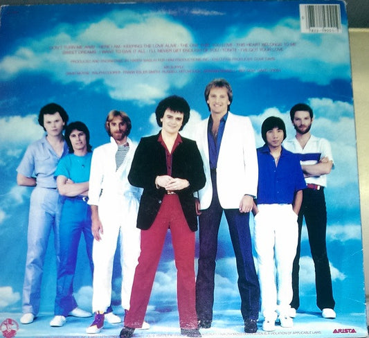 Air Supply - The One That You Love vinyl record, LP (Mint (M)) | Lulo Records