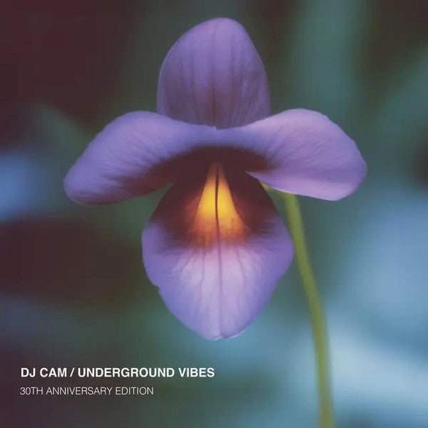Buy DJ Cam : Underground Vibes (30th Anniversary Edition) (LP