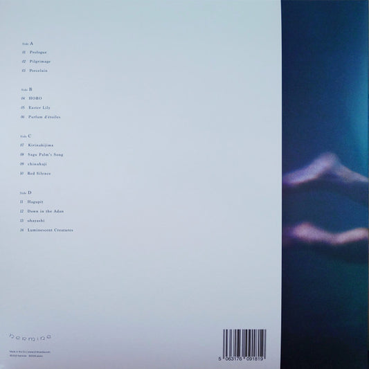 Ichiko Aoba* - Windswept Adan vinyl record, 2xLP (Mint (M)) | Lulo Records