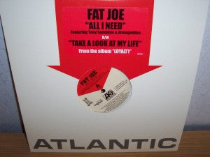 Fat Joe : All I Need (12", Promo)