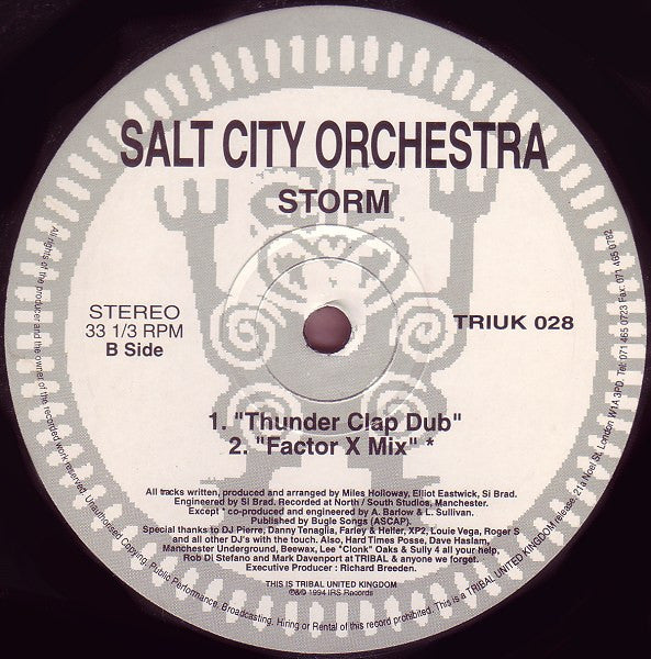 Salt City Orchestra : Storm (12")