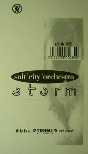 Salt City Orchestra : Storm (12")
