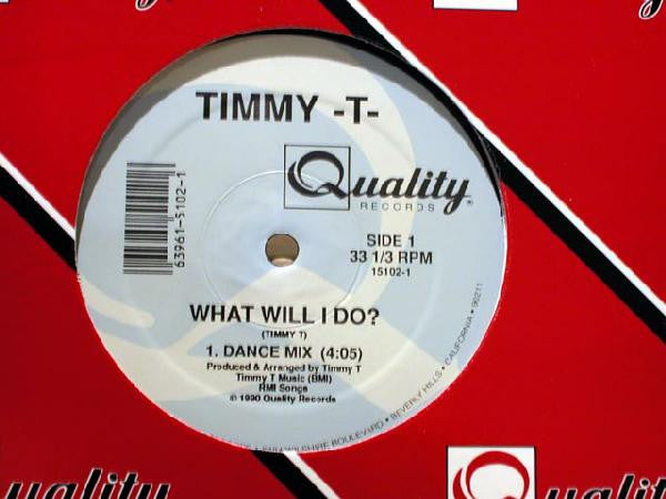 Timmy T : What Will I Do? (12")