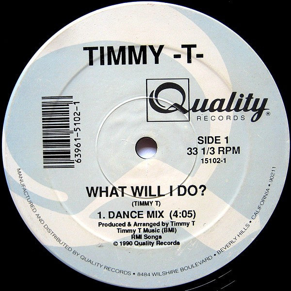 Timmy T : What Will I Do? (12")