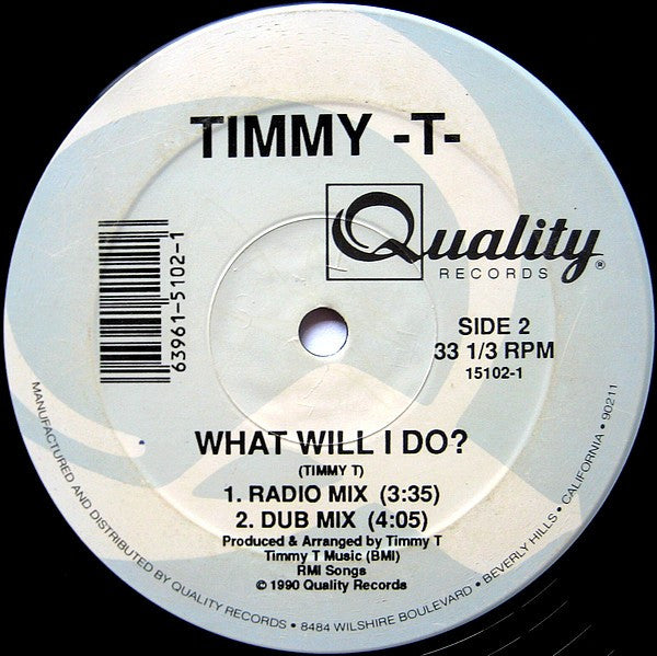 Timmy T : What Will I Do? (12")