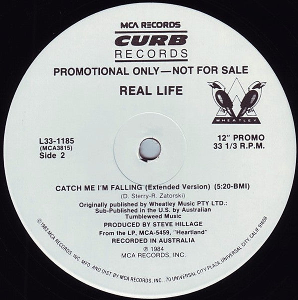 Real Life : Catch Me I'm Falling (12", Promo)