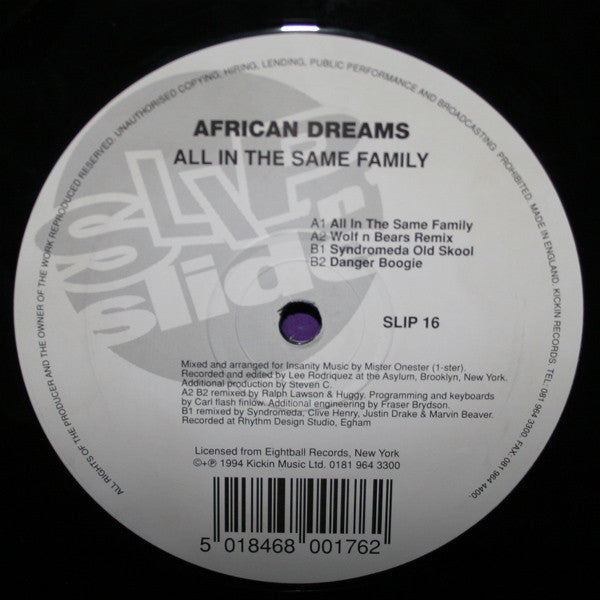 The African Dream : All In The Same Family (12", Single)