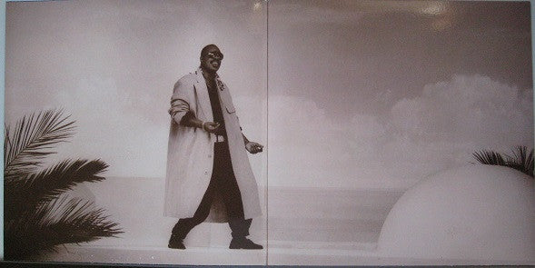 Stevie Wonder : In Square Circle (LP, Album)