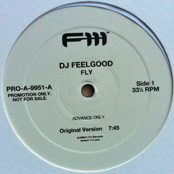 Charles Feelgood : Fly (12", Promo)