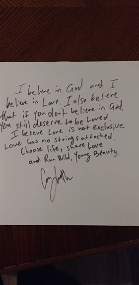 Hotel Books : Run Wild, Young Beauty (LP, Clo)