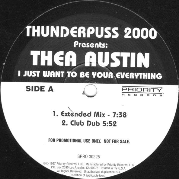 Thunderpuss Presents: Thea Austin : I Just Want To Be Your Everything (12", Promo)