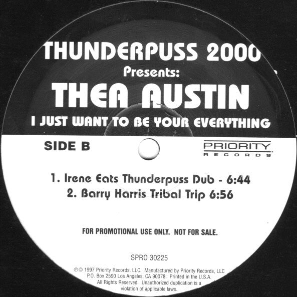 Thunderpuss Presents: Thea Austin : I Just Want To Be Your Everything (12", Promo)