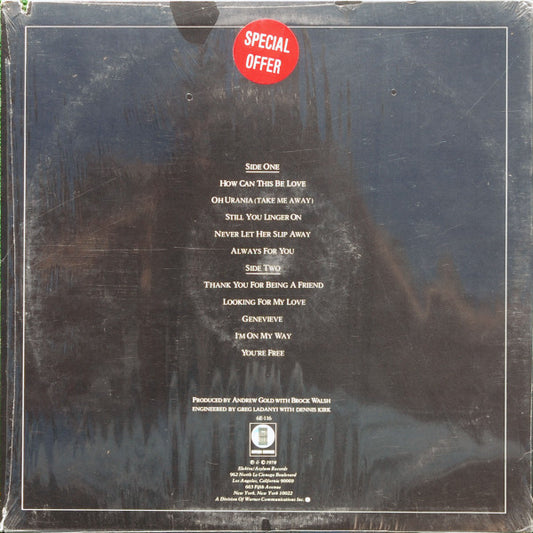Andrew Gold - All This And Heaven Too vinyl record, LP (Near Mint (NM or M-)) | Lulo Records