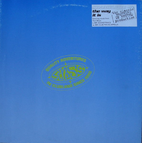 Chameleon (2) : The Way It Is (12", Promo)