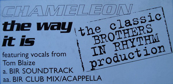 Chameleon (2) : The Way It Is (12", Promo)