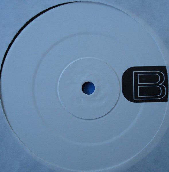 Chameleon (2) : The Way It Is (12", Promo)