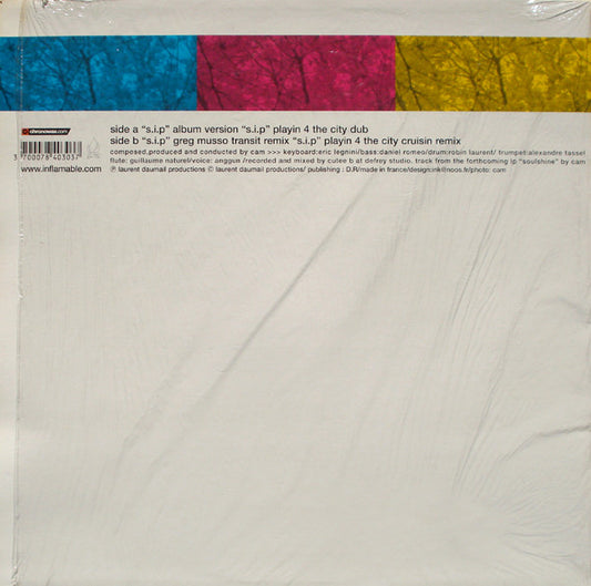 Cam* Starring Anggun : Summer In Paris (12")