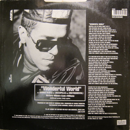 MC Wildski - Wonderful World vinyl record, 12" (Very Good Plus (VG+)) | Lulo Records