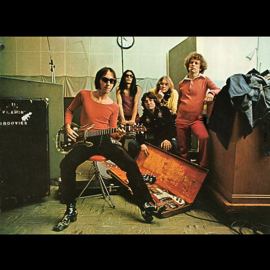 The Flamin' Groovies : Teenage Head (LP, Album)