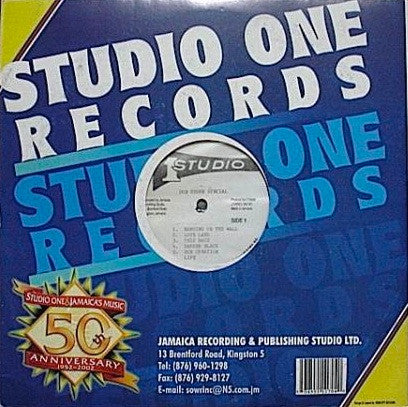 Dub Specialist : Dub Store Special (LP, Album, RP)