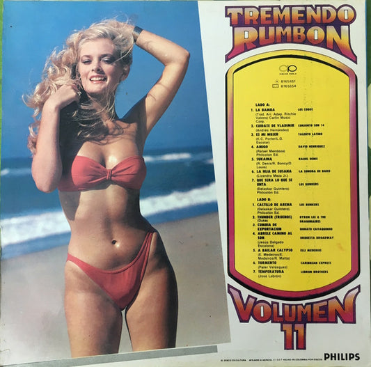 Various : Tremendo Rumbon Vol. 11 (LP, Comp)