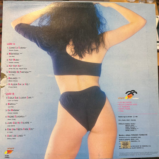 Various - Fiebre Del Merengue 4 vinyl record, LP (Very Good (VG)) | Lulo Records